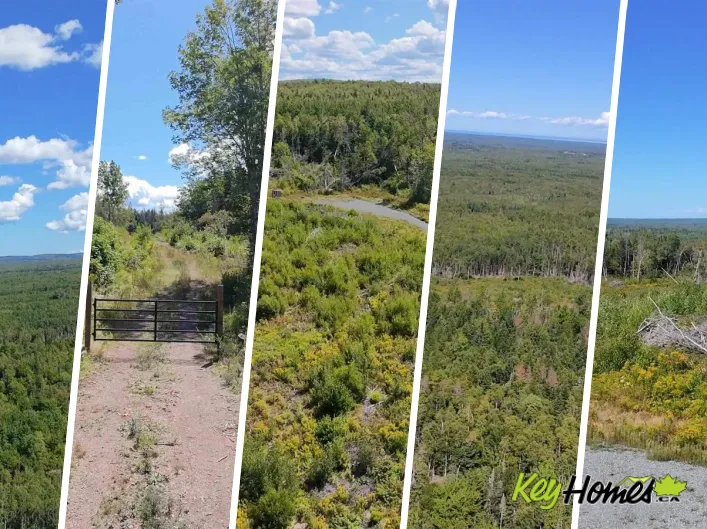 Lot 1 Dalhousie Road, Loganville