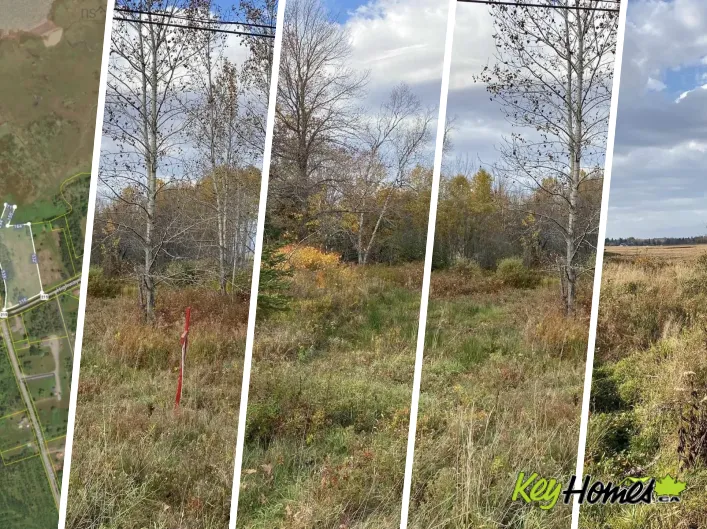 Lot 1 Highway 215, Noel