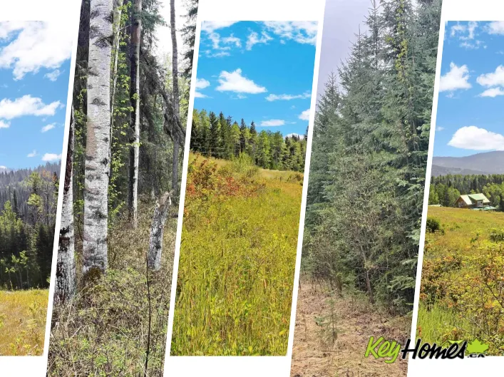 LOT 1 LITTLE FORT 24 HIGHWAY, Bridge Lake
