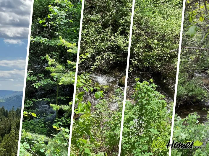Other for sale: Lot 1 Nicholson Creek Road, Rock Creek