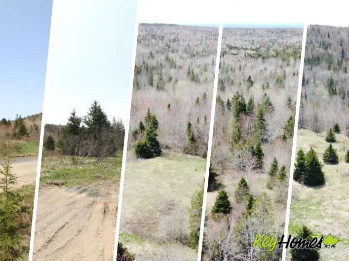 Lot 1 River Denys Mountain Road, Rear Judique