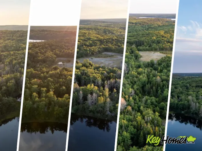 Lot 10 R & N Road, Carleton