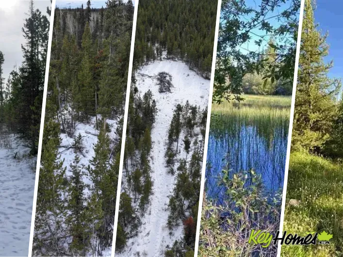 LOT 11 EVERGREEN DRIVE, Lone Butte