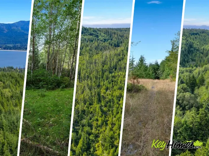 Lot 111 Powder Main Rd, Port Renfrew