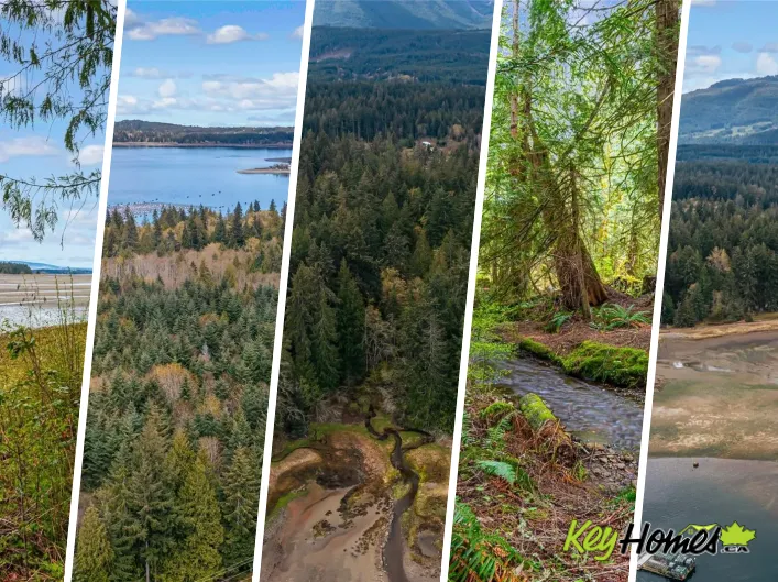 Lot 13 Island Hwy W, Bowser