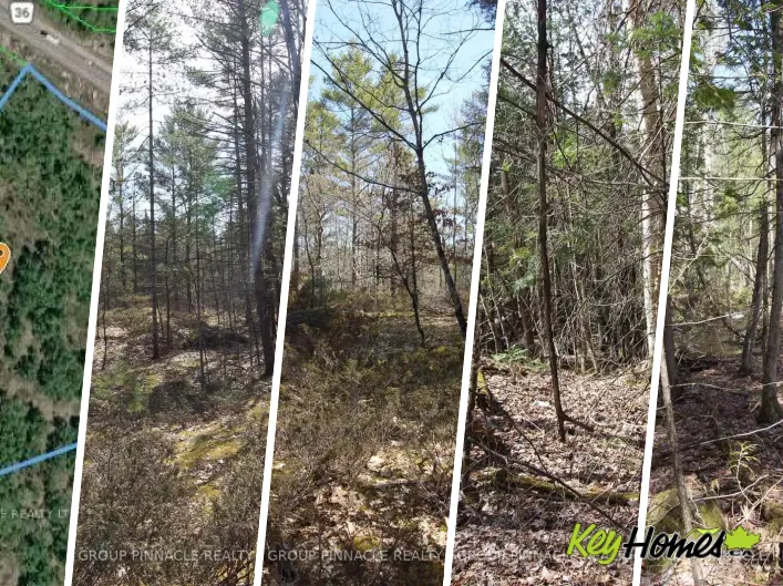 LOT 15 CONCESSION 9, Trent Lakes