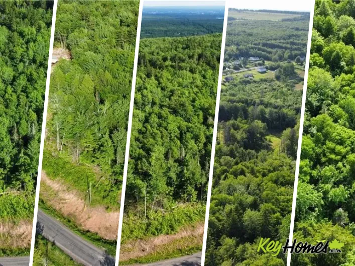 Lot 21-56 Orchard Avenue, Irishtown