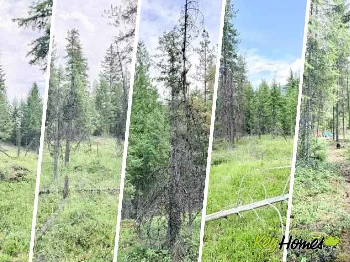 Other for sale: Lot 3 Crown Creek Road, Gray Creek