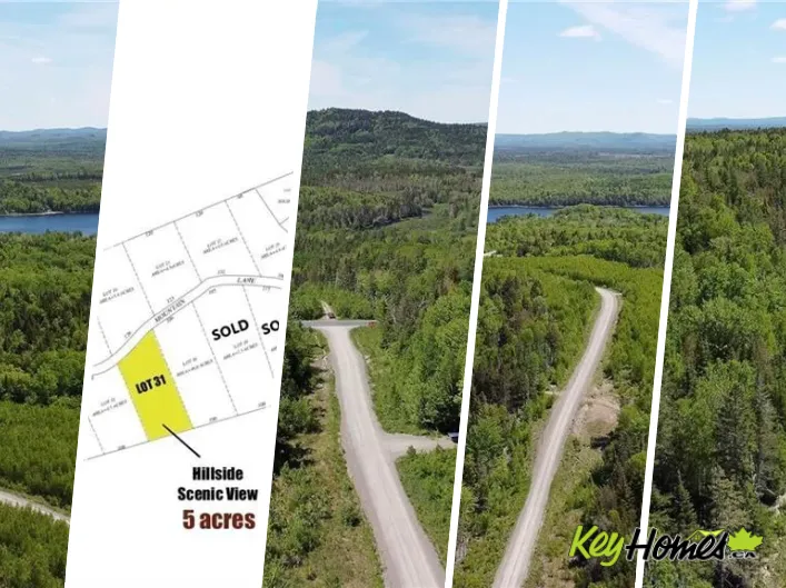 Lot 31 Misty Mountain Road, Elmsville