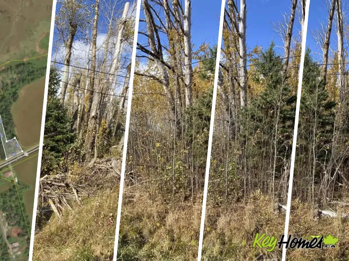 Lot 3a Highway 215, Noel