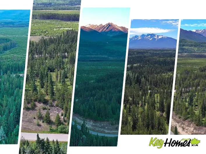 LOT 4 CROOKED CREEK ROAD, Valemount