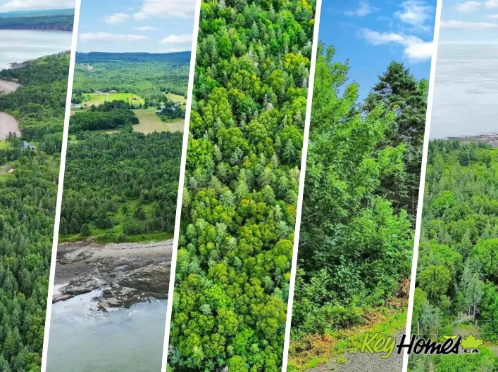 Lot 4 Hampton Mountain Road, Hampton