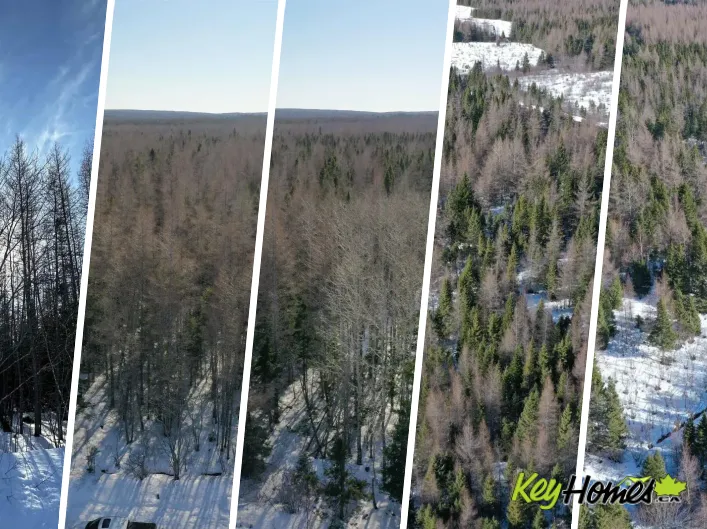 Lot 4C Whycocomagh-Port Hood Road, Southwest Mabou