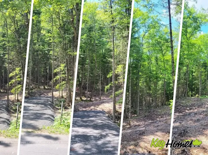 LOT 5 FAIRY FALLS ROAD, Lake of Bays