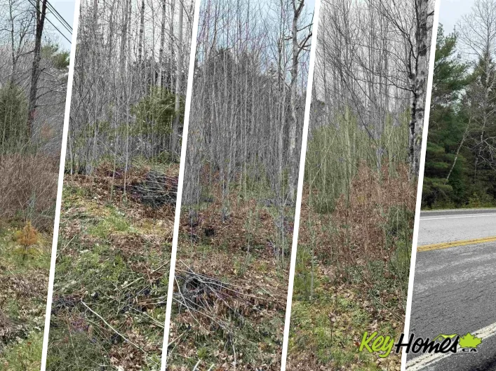Lot 5 Highway 10, New Germany