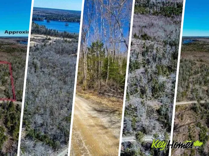 Lot 50N Secret Road, Briar Lake