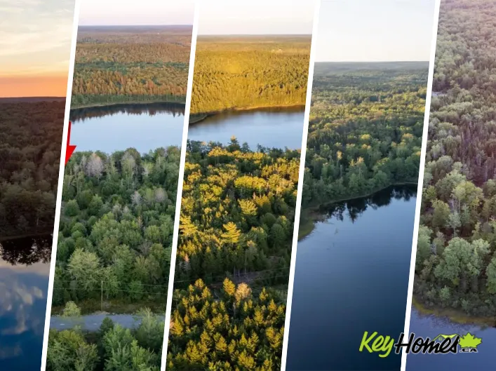 Lot 6 R & N Road, Carleton