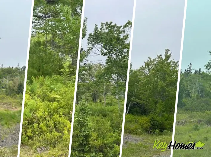 Lot 7 Bay Street, French Cove