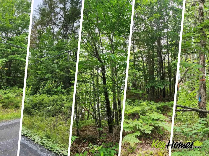 Lot 73 Baker Point Road, Molega
