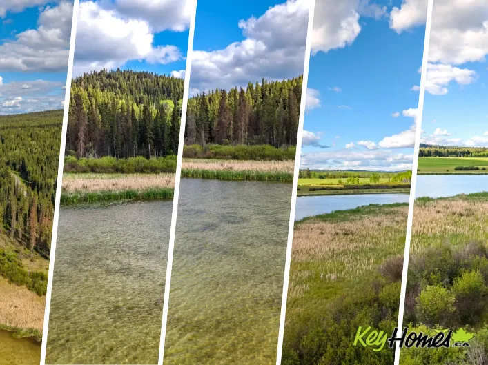 Lot 8 HORSE LAKE ROAD, Horse Lake