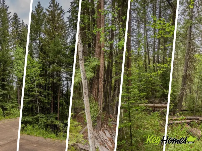 LOT 88 JULSRUD ROAD, Deka Lake / Sulphurous / Hathaway Lakes