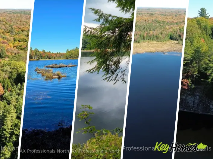 LOT 9 & 10 CONCESSION 5, Lake of Bays
