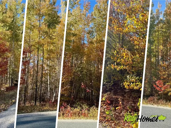 Lot 96-1 Hilltop Road, Hilltop