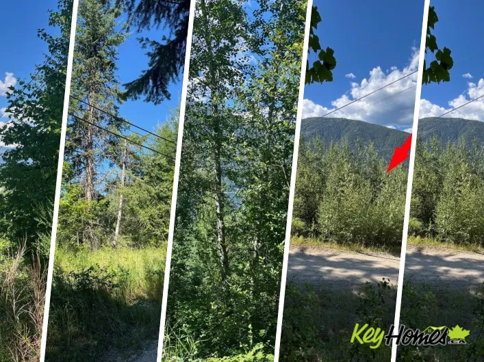Other for sale: Lot B Government Street, Nelson