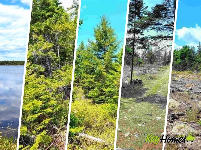 Lot Back Road, Voglers Cove