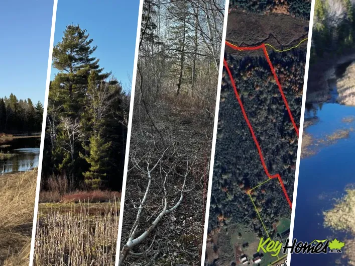 Lot EAN-1B West Tatamagouche Road, Tatamagouche