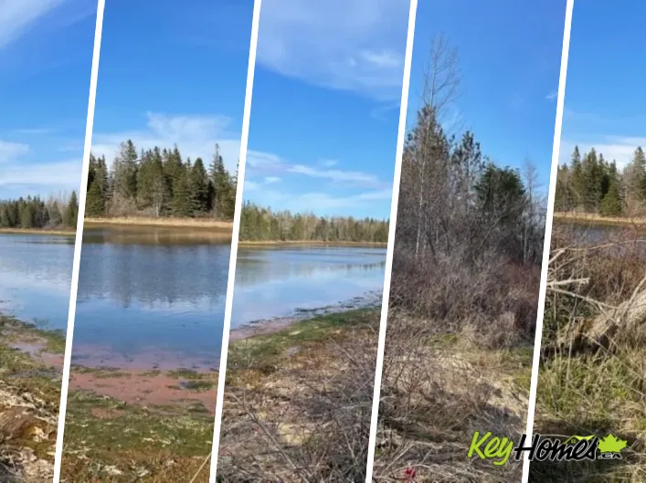 Lots 1,2,21,22 Wildwood Court|Cross Shores Estates, Wellington
