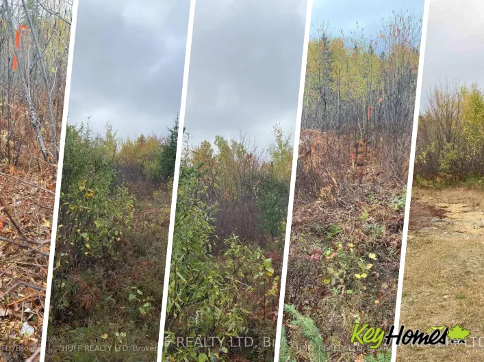 LT 1 CON 6 54R-6390 LOT 1 CON 6 MARTER TWP ROAD, Englehart