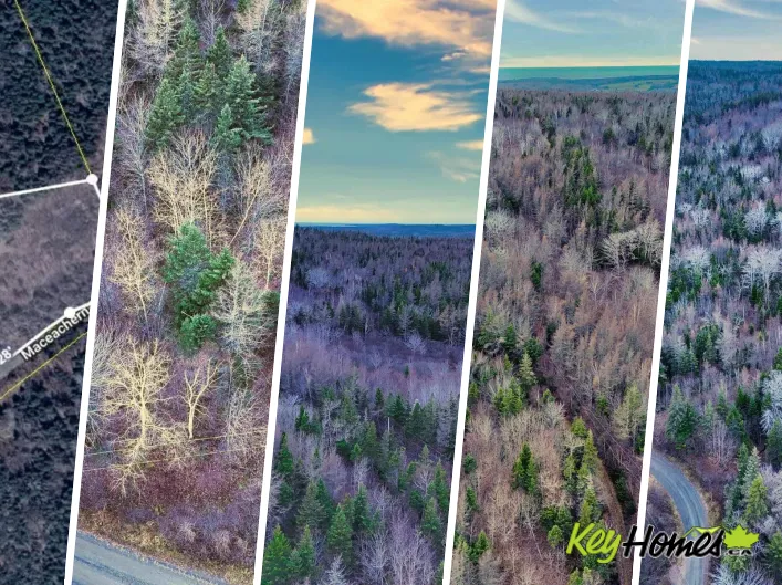 Maceachern Road, Judique North