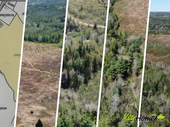 No 316 Highway, Cross Roads Country Harbour