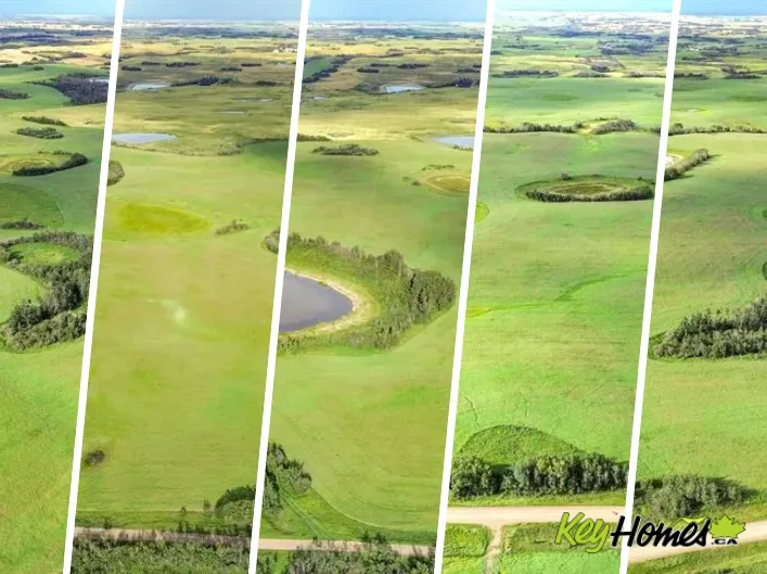 On TWP 41-0, Rural Stettler No. 6, County of