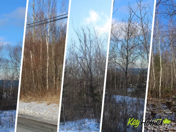 Parker Mountain Road, Parkers Cove