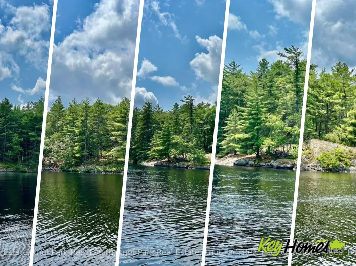 PART 1 BURNT ISLAND, Gravenhurst