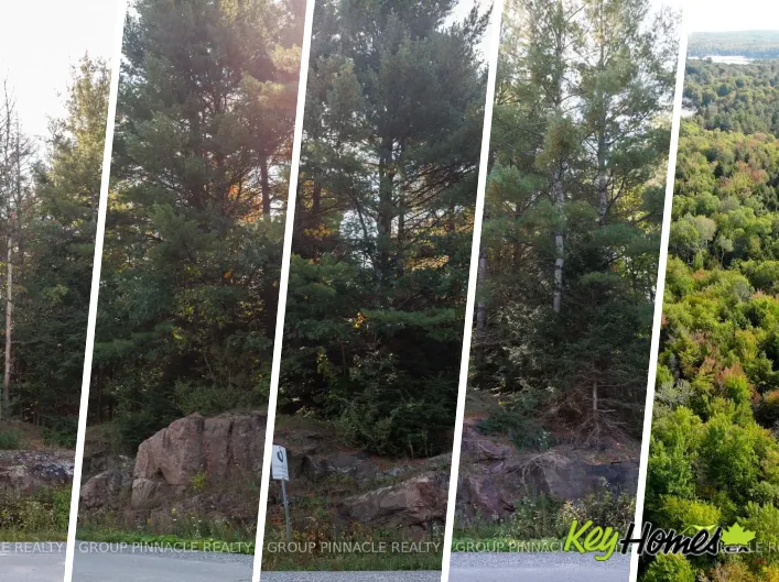 PART 2 - 0 MONCK ROAD, Kawartha Lakes