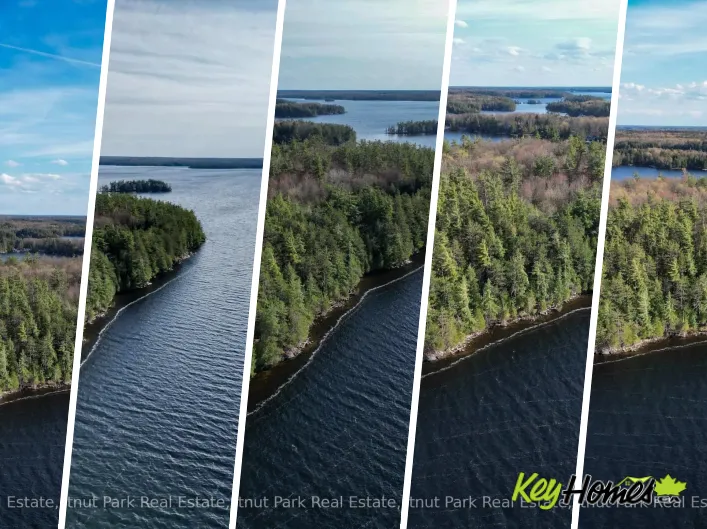 PINE (57 ISLAND M81) ISLAND, Muskoka Lakes)