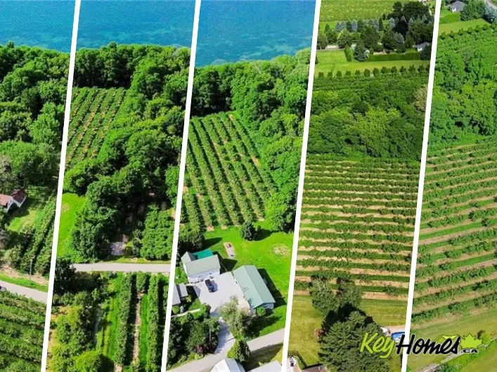 PT LT 22 BLEZARD Drive, Beamsville