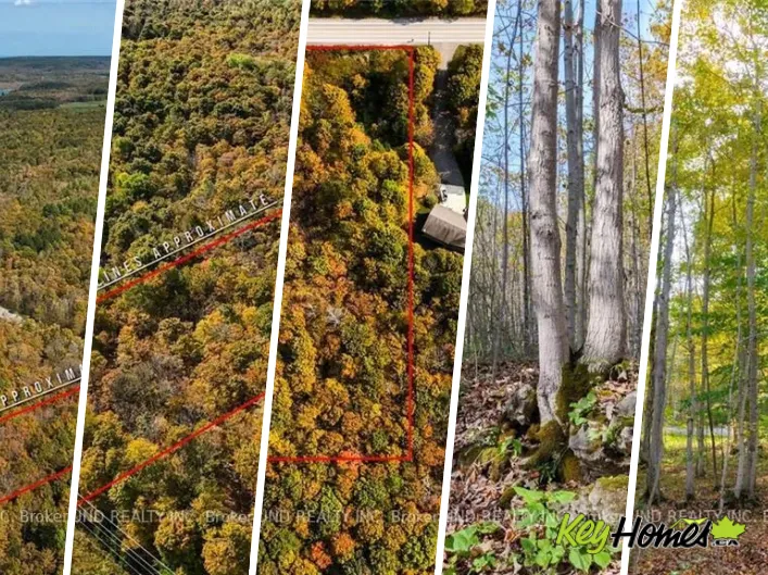 PT LT 25 CONC 16 GREY ROAD 17, Georgian Bluffs