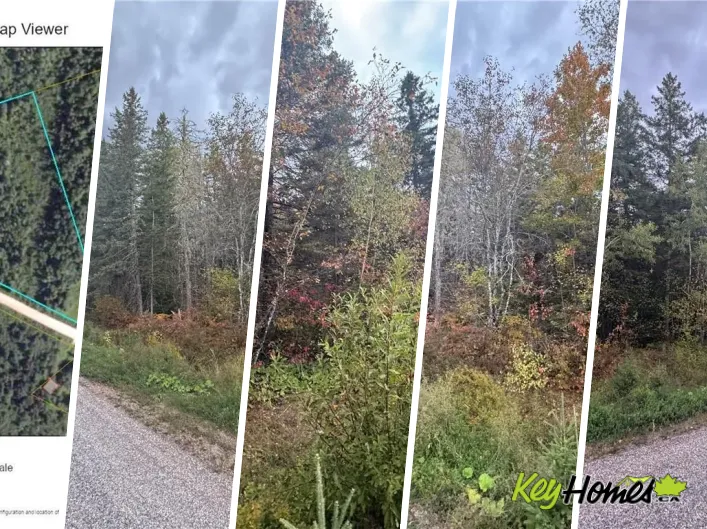 Salem Road, Havelock