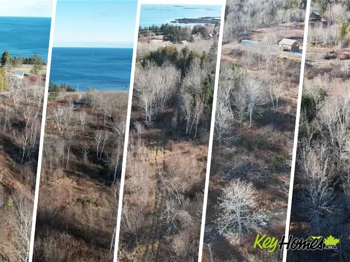 Wellington Drive, Grand Manan