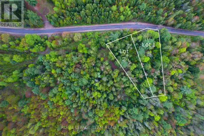 - BIERNACKI MOUNTAIN ROAD, Madawaska Valley