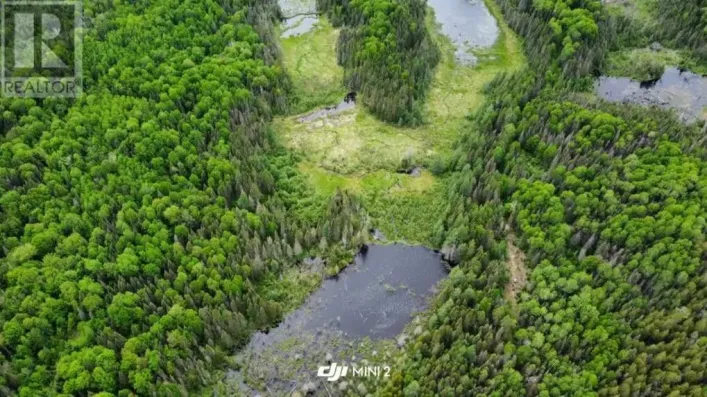 . South of East Line RD, Thessalon