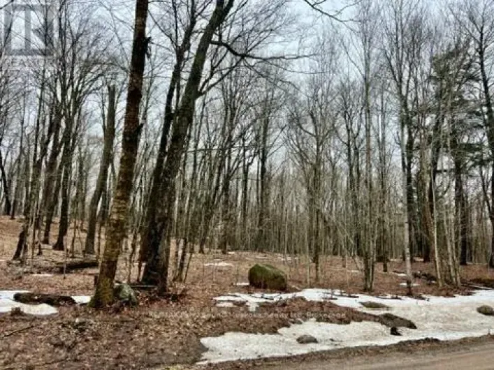 0 15TH/16TH SIDE ROAD, Magnetawan