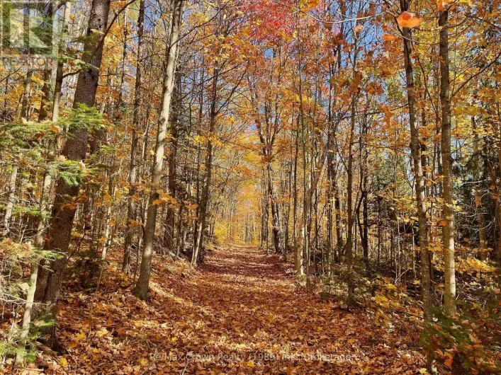 0 20TH SIDE ROAD, Parry Sound Remote Area