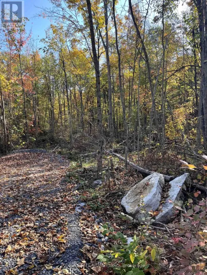 0 47 COUNTY ROAD, Havelock-Belmont-Methuen