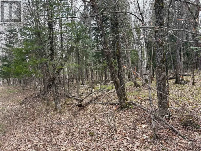 0 AHMIC LAKE ROAD, Magnetawan