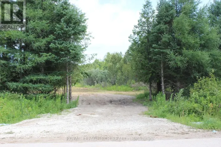 0 AMARANTH/E.LUTHER TL N, Amaranth